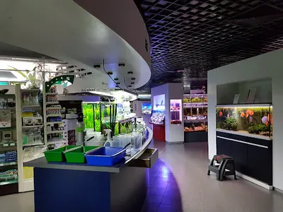 Aux Poissons Exotiques