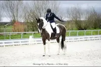 Centre Équestre Saint Julien