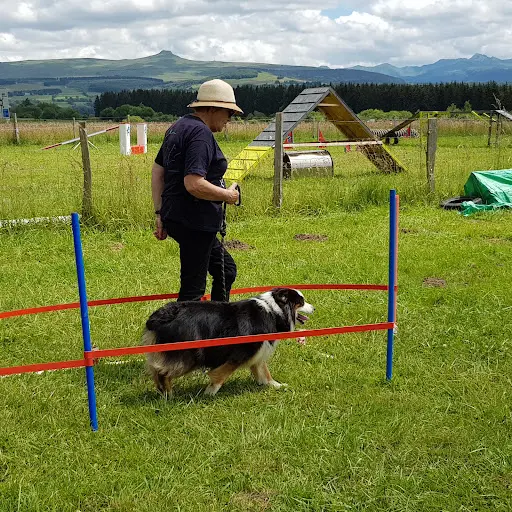 Club Canin Patt Agiles