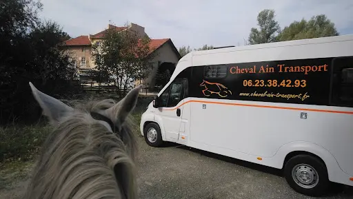 Cheval Ain Transport