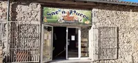 Sac À Puces 87