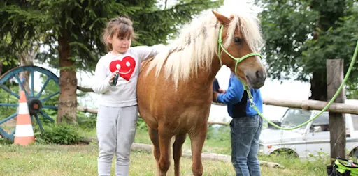 Equi Via Equithérapie