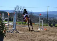 Centre Équestre - Poneys Club des Bréats