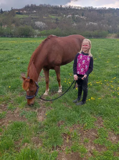 Ecuries Fabrice Gellet - Pension Chevaux - Coaching Cso