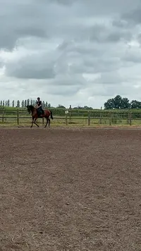 Haras des Fils du Vent