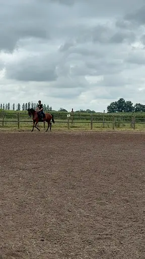 Haras des Fils du Vent