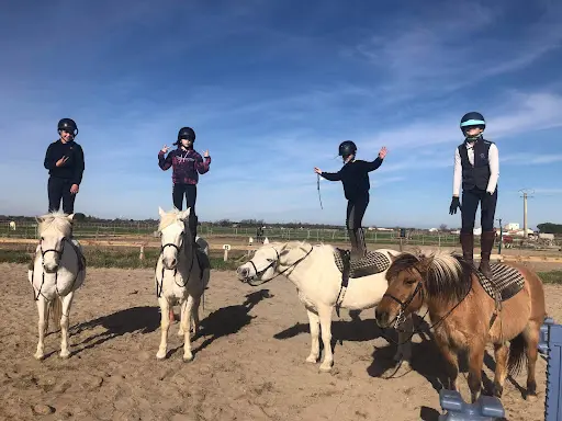 Ecole d'Equitation de la Roselière