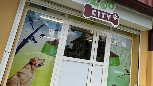 Zoocity