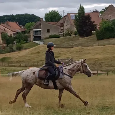 Ferme Équestre de St-laurent - Équitation- Randonnées-formation