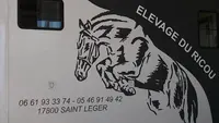Élevage du Ricou