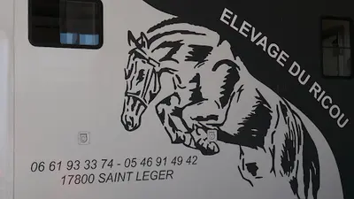 Élevage du Ricou