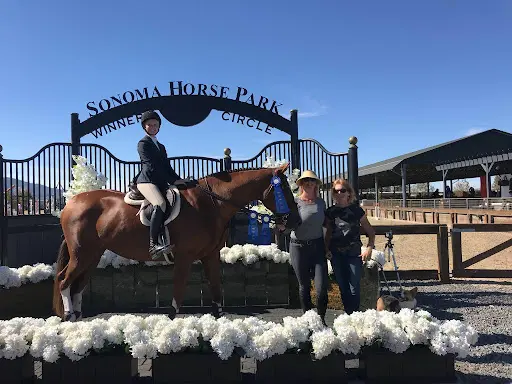 Alizé Jeandon Sport Horses