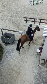 Centre Equestre du Pôle Hippique de Saint-lô