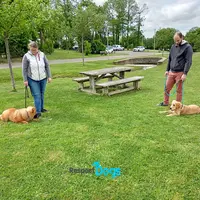Éducateur Canin Respectdogs Saint Lô