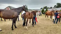 Pôle Hippique de Saint-lô