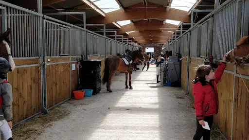 Poneys sous les Pommiers
