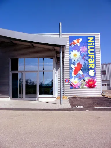 Nilufar - Animalerie - Saint-louis