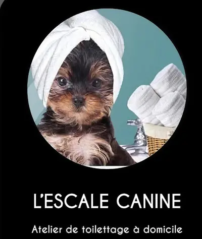 l'Escale Canine