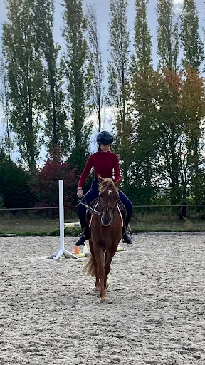 Ecurie des Lys