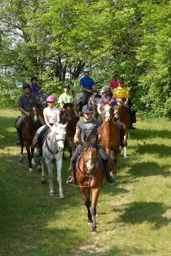 Haras du Bois Marie