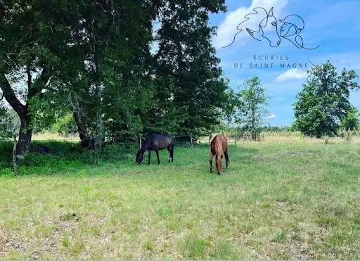Ecurie de Propriétaires - Loisirs et Horse-ball