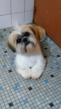 Adé K Wouaf Sasu