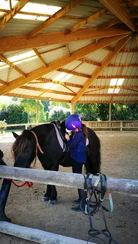 Poney Club de St Malo