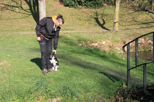 De Rebelles À Fidèles, Educateur Canin et Garde À Domicile