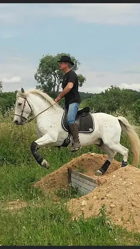 À Cheval Écuries du Mas des Montagnons