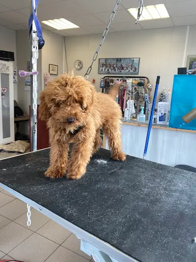 Au Filou