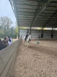 Centre Equestre les 4 Fers