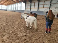 Centre Equestre de la Roche