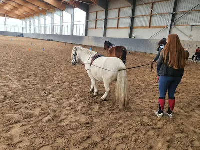 Centre Equestre de la Roche