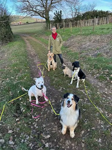 Team Animale