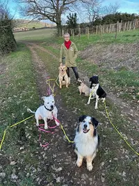Team Animale