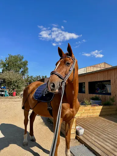 Espace Equestre de Mazerolles