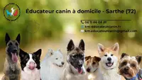 Km Éducateur Canin