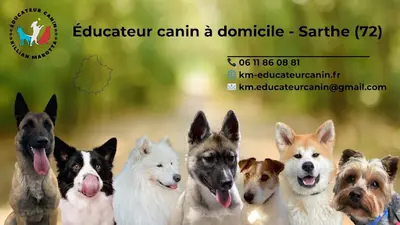 Km Éducateur Canin