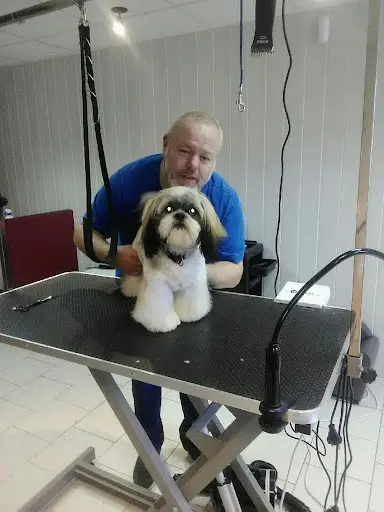 Tâo Toilettage