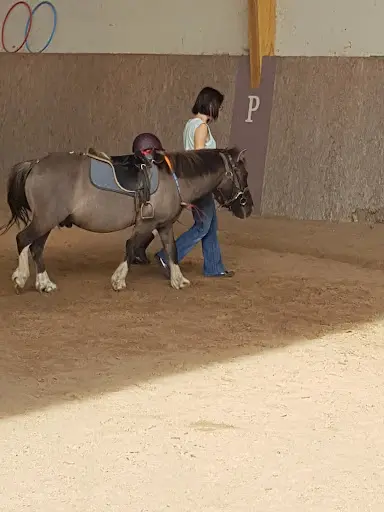 Domaine Equestre de Saint Martin d'Abbat