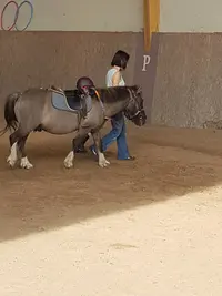 Domaine Equestre de Saint Martin d'Abbat