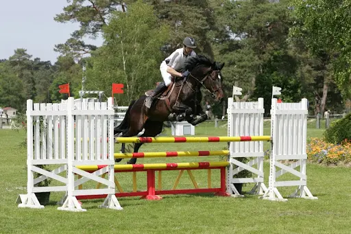 Haras de Melrey