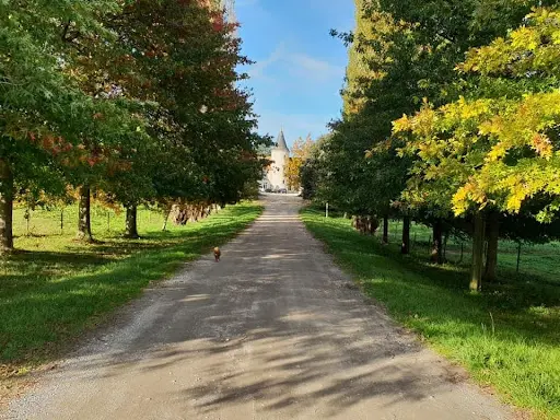 Les Écuries du Domaine du Taillan