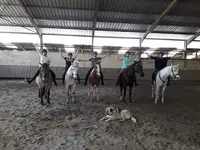 Centre Equestre de Cantegril