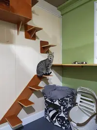 Chatmicalement Vôtre