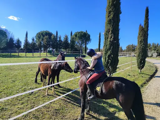 Le Domaine de l'Art Equestre