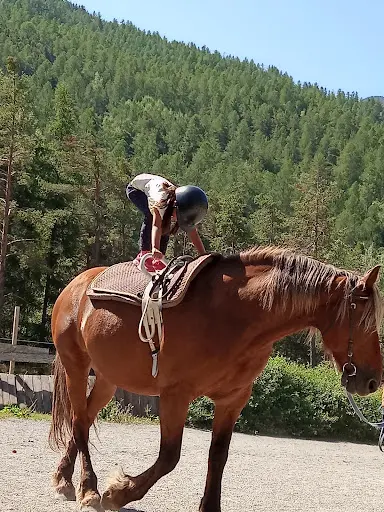 Haute Durance Équitation - À l'Écoute du Cheval et du Cavalier