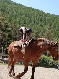 Haute Durance Équitation - À l'Écoute du Cheval et du Cavalier