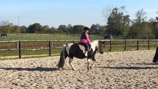 Haras de la Pelois - Centre Équestre - Sport Étude