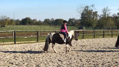 Haras de la Pelois - Centre Équestre - Sport Étude